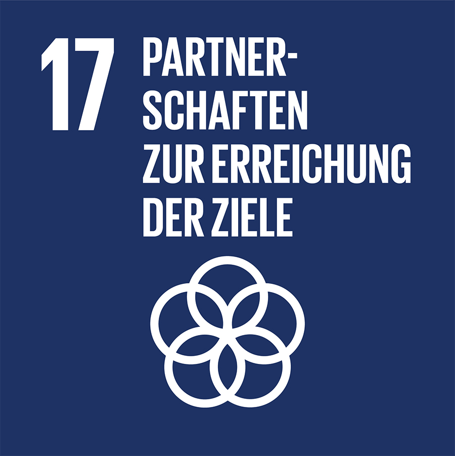 17. Nachhaltigkeitsziel: Partnerschaften zur Erreichung der Ziele